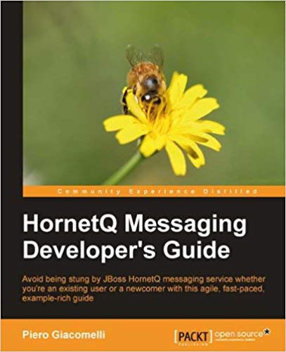 Portfolio book: HornetQ Messaging Developer's Guide